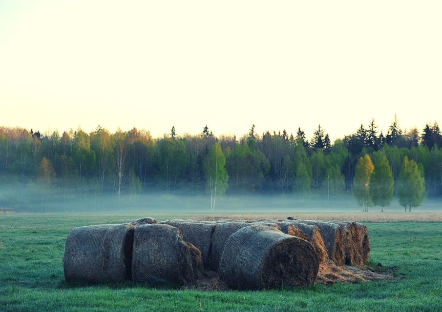 From Warsaw: Small-Group Tour to Bialowieza National Park - Historical Significance