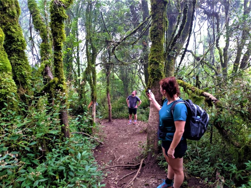 From Yogyakarta: 2-Day, 1-Night Mount Merbabu Camping Trip - Booking Process