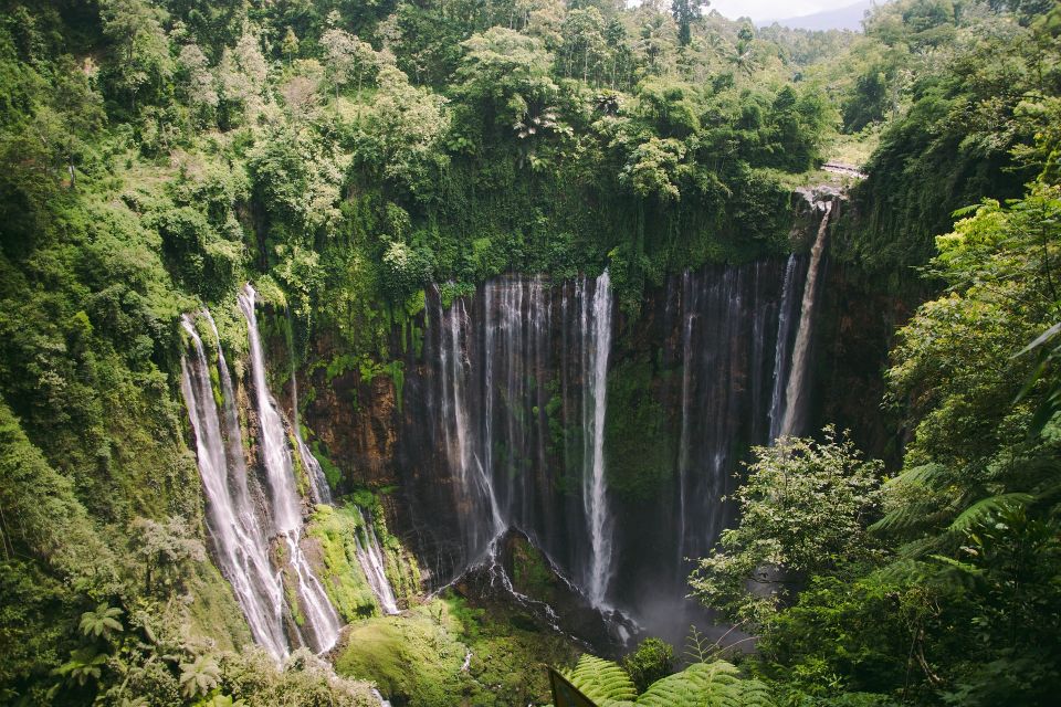 From Yogyakarta: Tumpak Sewu, Bromo, and Ijen 4-Day Tour - Physical Activity and Health Restrictions