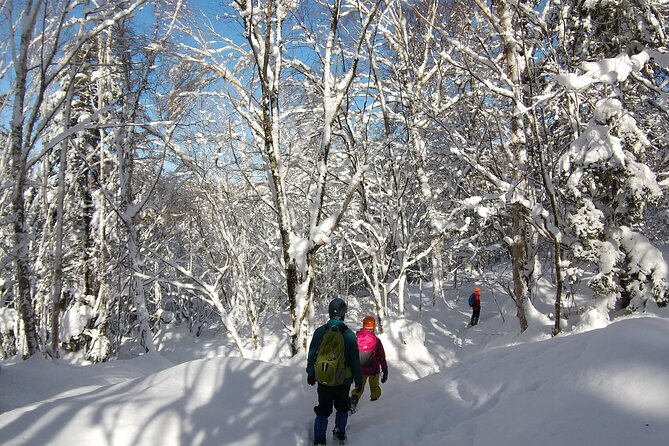 Frozen Fall Trekking - Last Words