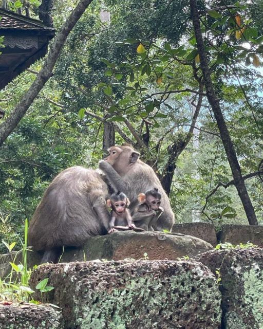 Full Day Angkor Temple Complex Plus Banteay Srei Tour - Tour Itinerary