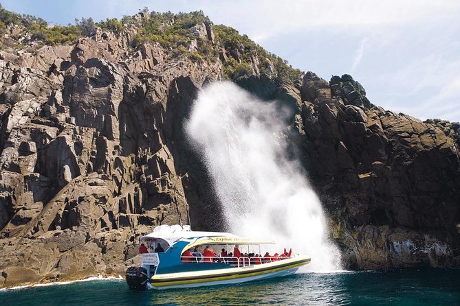Full-Day Bruny Island Cruises Day Tour From Hobart - Overall Experience
