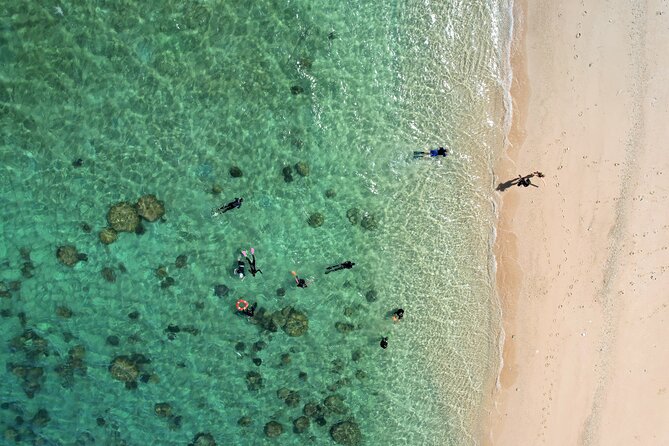 Full-Day Cruise Tour to Frankland Islands Great Barrier Reef - Additional Information