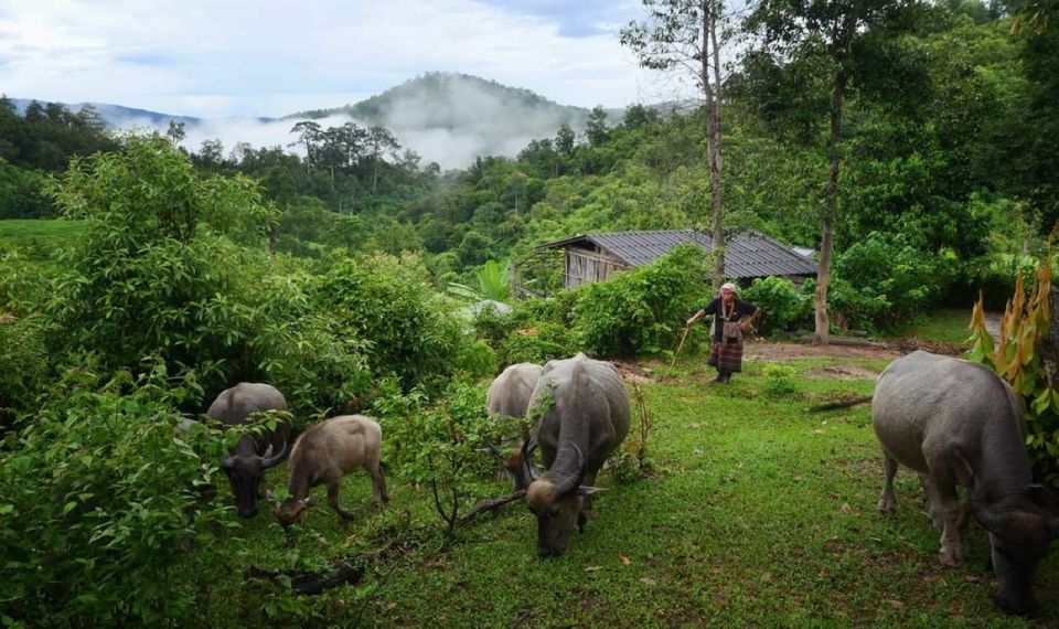 Full Day Forest Trekking - Customer Reviews on the Trek