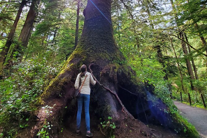 Full-Day Guided Oregon Coast Tour From Portland - Memorable Experiences and Highlights