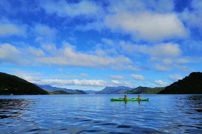 Full Day Guided Sea Kayak Tour From Picton - Lunch Arrangements