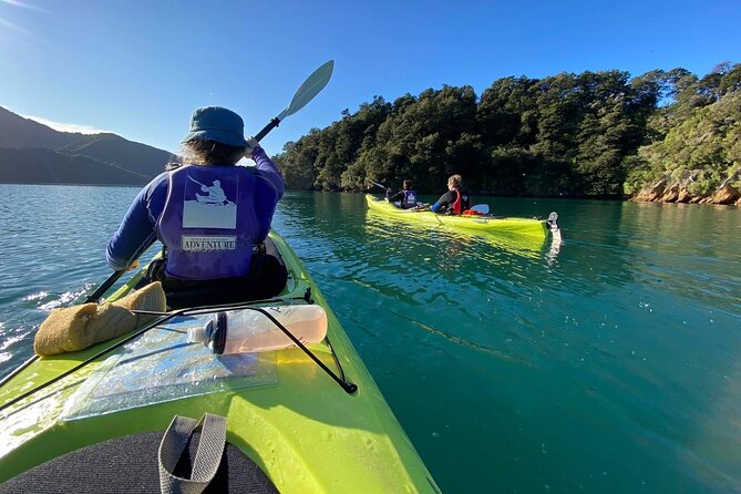 Full-Day Guided Sea Kayak Trip From Picton - Support and Assistance