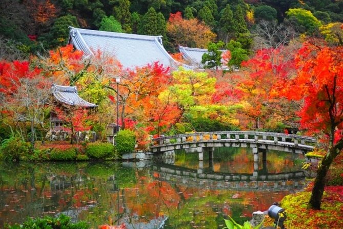 Full Day Hidden Kyotogenic for Autumn Tour in Kyoto - Safety and Guidelines