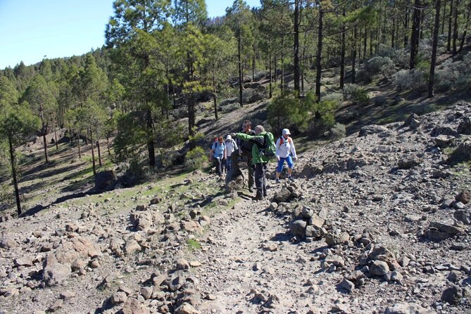 Full Day Hiking Gran Canaria Peaks of Gran Canaria - Booking and Cancellation Policies