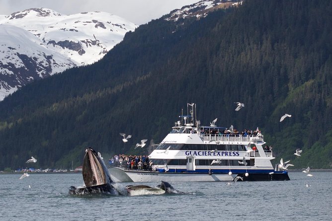 Full-Day Kenai Fjords National Park Cruise - Legal and Support Information