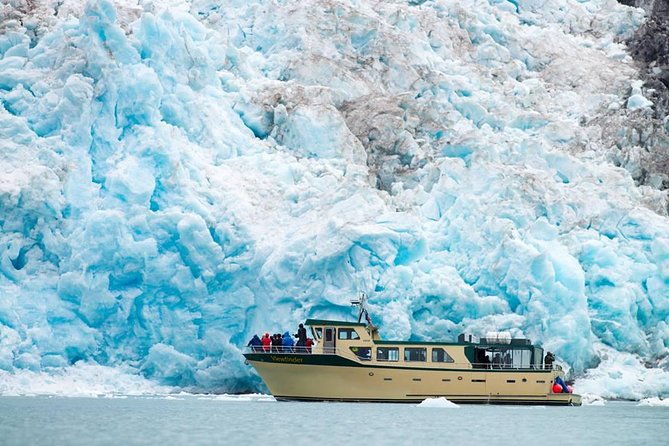 Full-Day Kenai Fjords National Park Northwestern Cruise - Tour Comparison