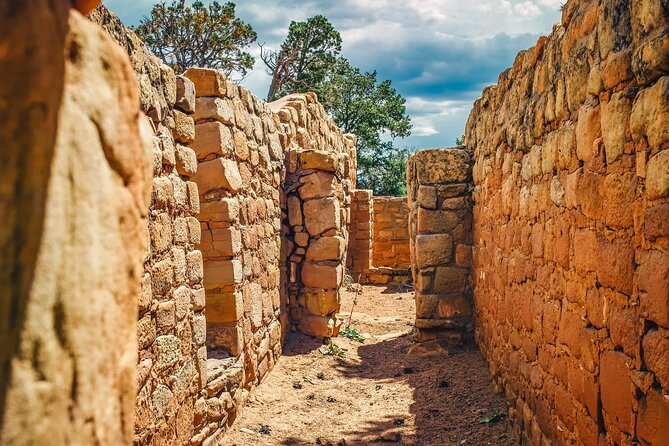 Full-Day Mesa Verde Discovery Tour - Customer Reviews