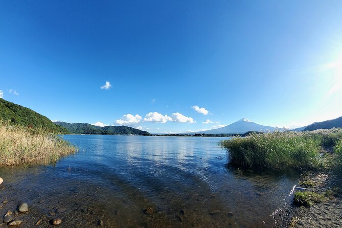 Full Day Mount Fuji Private Tour With English Speaking Guide - Booking Information and Reservation Process