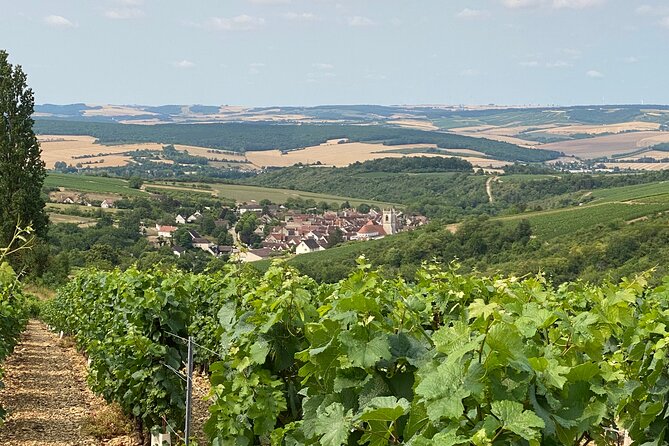 Full-Day North Burgundy and Chablis Wine Tasting Tour From Paris - Overall Experience and Customer Reviews