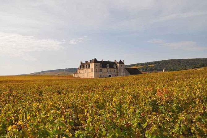 Full Day Private Tour 10 Premiers & Grands Crus, The Best of Burgundy - Wine Road Exploration