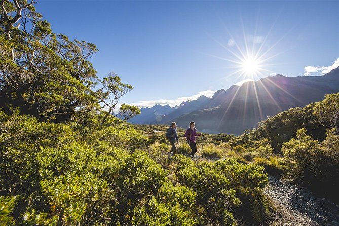 Full-Day Routeburn Track Key Summit Guided Walk From Te Anau - Activity Details