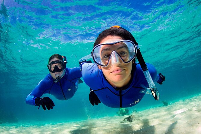 Full-Day Small-Group Guided Snorkeling Tour, Outer Reef (Mar ) - Reservation and Accessibility