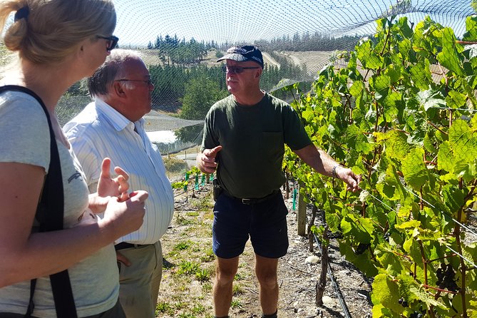 Full-Day Sommelier Guided Private Wine Tour of Central Otago - Reviews and Ratings