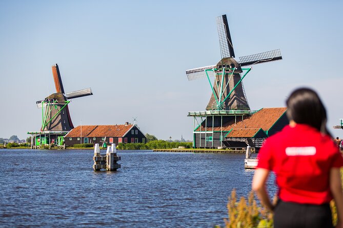 Full Day Tour of the Dutch Countryside: Spanish Language  - Amsterdam - Specific Feedback