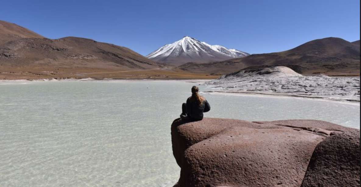 Full Day Tour to Lagunas Altiplanicas, Piedras Rojas, and Laguna Chaxa - Inclusions