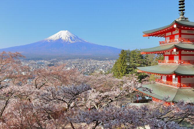 Full Day Tour to Mount Fuji - Cancellation Policy and Procedures