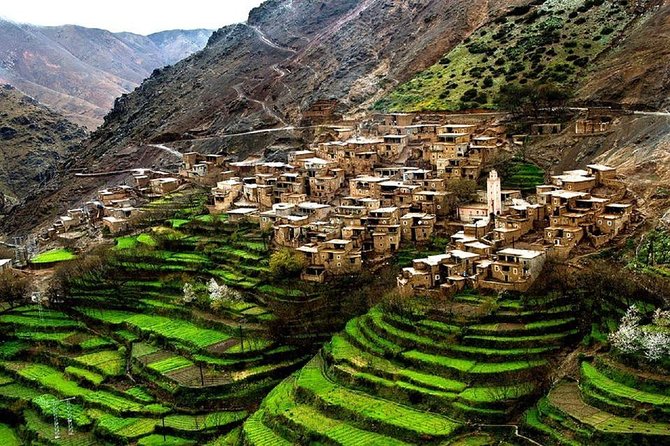 Full Day Trip To Ourika Valley From Marrakech - What to Expect