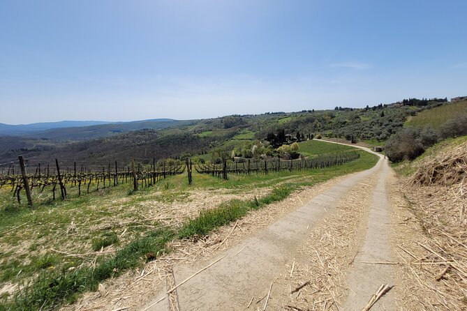 Full-Day Tuscan Hills Bike Tour - Cancellation Policy