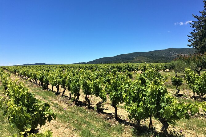 Full-Day Wine Tour Around Luberon From Marseille - Booking Confirmation