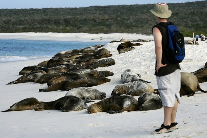 Galapagos Intensive 5 Days, Land Base (3islands) Excludes Galapagos Flight - Essential Logistics and Tips