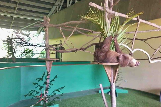 Gamboa Wildlife and Sloth Sanctuary Tour With Pickup - Customer Testimonials
