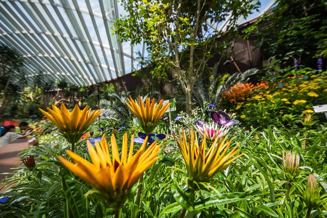 Gardens By The Bay -Flower Dome & Cloud Forest - Additional Details and Resources