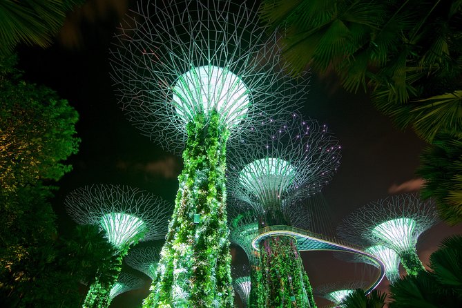 Gardens By The Bay Night Long-Exposure Photography - Controlling Shutter Speed for Creative Effects