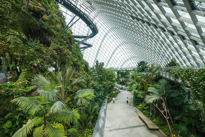 Gardens by the Bay With Both Domes (Small-Group Pickup)  - Singapore - Cancellation Policy