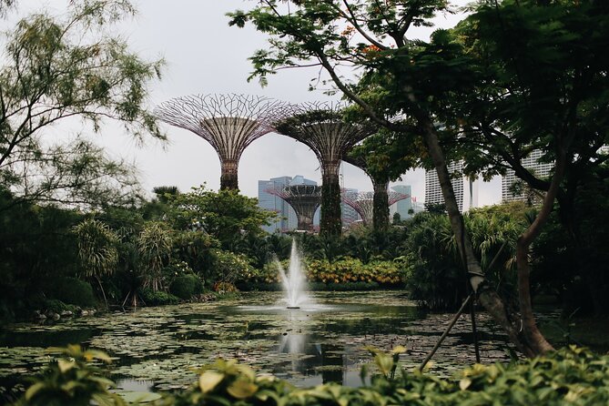 Gardens Under Moonlight: A Private Oasis for Lovers in Singapore - Additional Information