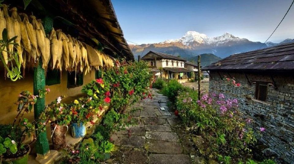 Ghandruk Village Discovery: Private Day Hike From Pokhara - Village Exploration
