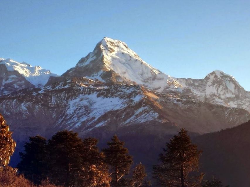 Ghorepani Poonhill Family Tour 5 Days - Last Words