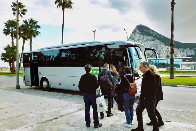 Gibraltar Tour With Rock of Gibraltar, St. Michaels Cave, Full-Day From Seville - Traveler Reviews