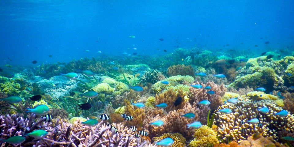 Gili Islands: 3-Island Sharing or Private Snorkeling Trip - Preparation Tips
