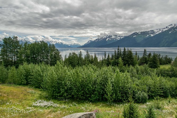 Glaciers and Wildlife: Super Scenic Day Tour From Anchorage - Up-Close Wildlife Viewing