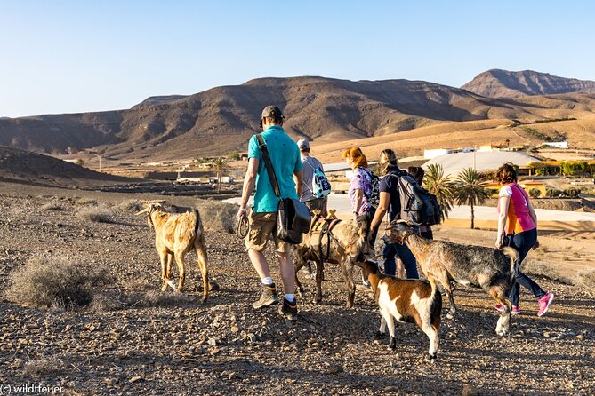 Goat Trekking Fuerteventura - Additional Resources