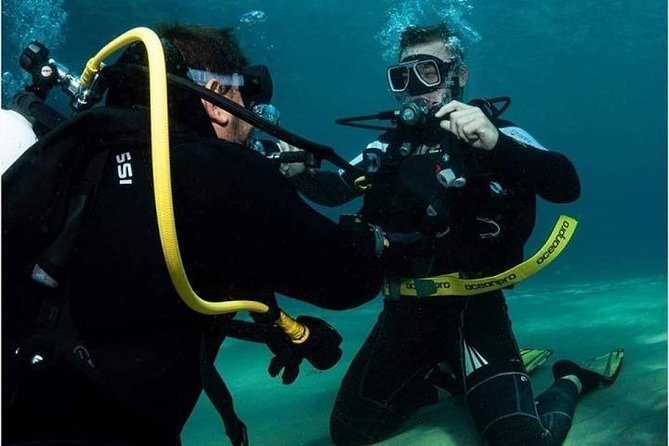 Gold Coast Try-Scuba Experience at Cook Island Aquatic Reserve - Additional Information