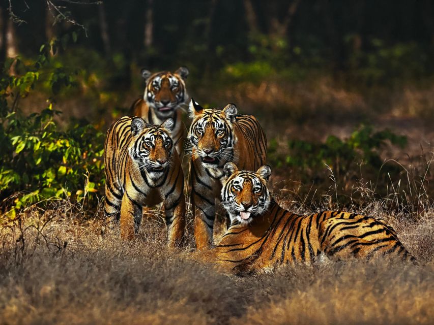Golden Triangle Tour With Ranthambore by Car 6 Nights 7 Days - Day 02: Agra Exploration