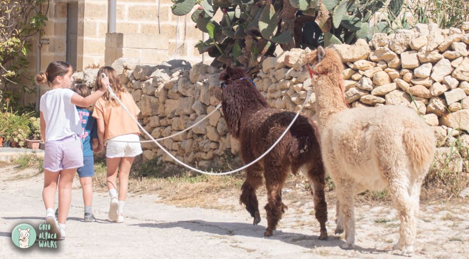 Gozo: Farm Visit With Alpaca Walk and Feeding - Additional Information