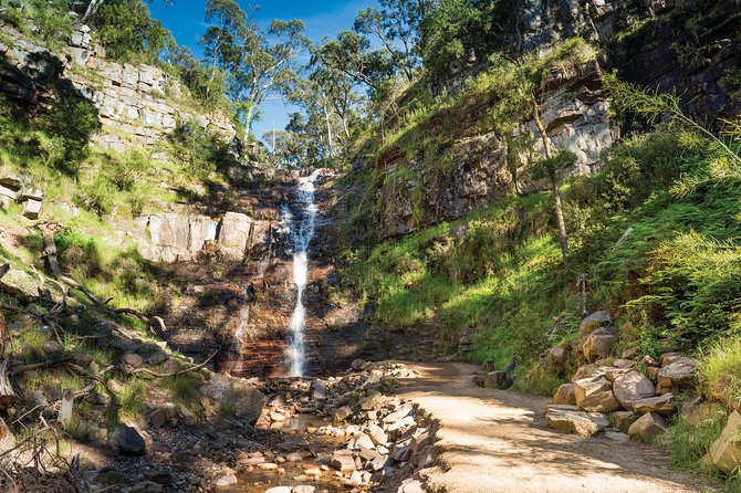 Grampians National Park Small-Group Eco Tour From Melbourne - Traveler Experience
