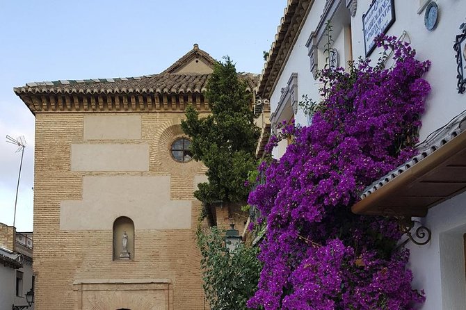 Granada Walking Tour: Albaicin and Sacromonte Quarters - Traveler Feedback