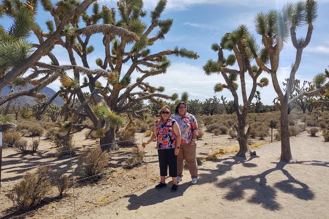 Grand Canyon West Skywalk Western Ranch Joshua Tree Forest SmGrp - Booking and Terms