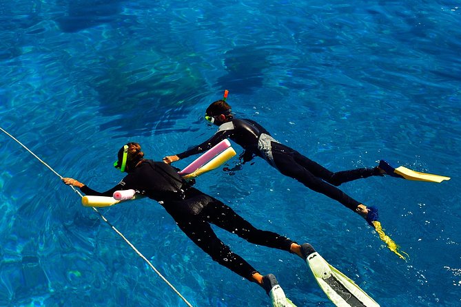 Great Barrier Reef Cruise From Townsville or Magnetic Island - Booking Information