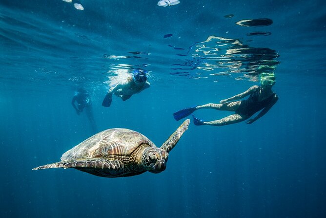 Great Barrier Reef Day Cruise to Reefworld - Positive Experiences and Recommendations