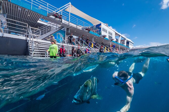 Great Barrier Reef Full-Day Snorkeling Cruise From Cairns  - Cairns & the Tropical North - Cancellation Policy