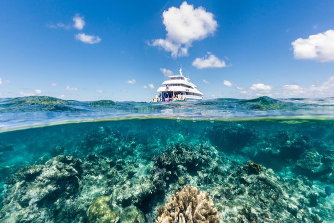 Great Barrier Reef Snorkeling and Diving Cruise From Cairns - Staff and Service